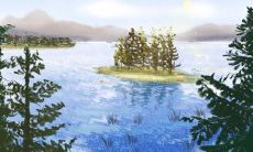 从哪些花卉中可以看出属龙人的个性特征?