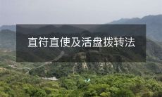 如何运用直符直使及活盘拨转法来提高工作效率和达成目标?