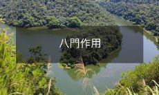 八門之道:探索其不同作用和应用场景的全面分析