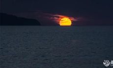 深夜时分猫头鹰的叫声会带来什么预示?听到猫头鹰叫声,应该如何进行缓解和化解?