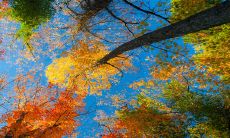 2023年度兔宝宝起名指南:包含各种取名灵感的薛姓女孩名字推荐目录