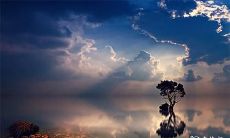 在深夜听到猫头鹰的叫声,预示着什么意味?如何应对晚上有猫头鹰叫可能引发的问题?