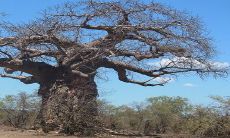 神算命预示,命中注定有多少财富,大富大贵的征兆揭晓