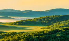 精选2023个汪姓男孩起名大全,打造别具一格的个性化命名!