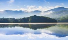 2023年生肖猴的全年运势分析:好运不断,吉祥吉利为主利于暗财的趋势明显