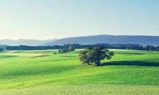 每日五行穿衣指南2023年2月1日:探究吉祥颜色,提供适合今日穿搭的建议!