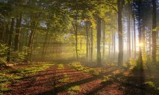 2023年1月30日,穿衣指南之每日五行:颜色搭配大全,助您吉利享福!