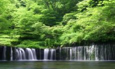 2023年1月18日:穿着红色吉利衣服会为每日五行带来好运吗?