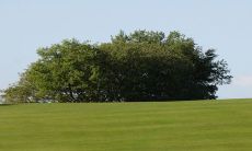 2023年1月24日每日五行穿衣指南:如何选择适合你五行属性的衣服颜色?