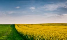 2023年财源滚滚来,独具财富眼光的三大生肖,以牛为首的财神星加持,财运发展迅猛,引领暴富潮流!