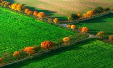 2023年2月9日,每日五行穿衣指南:吉利颜色品牌大全!