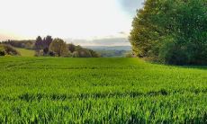 2021年11月降临,这四个星座将拥有最大的幸运气息:能为你撑起转机和成功之门的星座