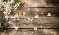 如何通过改变套房大门的朝向防范在阳台风水中的不利影响?