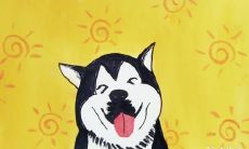 养狗不但能增加家中阳气还有风水学忌讳需遵循