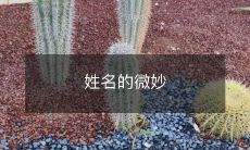 之处:揭示人格特征的姓名学研究