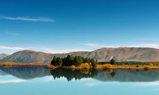 注意2023年正月初七走亲戚礼仪:如何合适地赠送礼物?