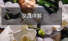 文昌祭祀仪式和相关历史文化信息全面解析