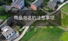 在进行商品命名时需要考虑的注意事项及其对销售的影响