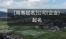 如何利用周易之道为你的公司(企业)量身定制起一个吉利而具有意义的名字?