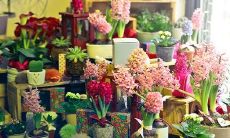 2023年正月初五,如何收拾能动针线和注意事项:大年初五的指南