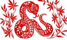 在什么时候,生肖蛇才能遇到适合自己的对象,并且在何时迎来最佳结婚时机?