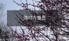 利用隐秘的测试方法来揭示对方的道德价值观和善恶本质