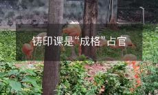 位的必修课,对于政治菜鸟来说至关重要!