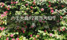 六壬天盘的12宫与天相的关联:探究宇宙能量对人类生活的影响