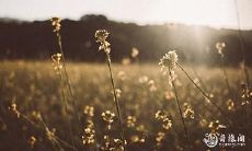 2023年农历一月的安门吉日是哪一天?考量优良黄道吉日,怎样选定最适合进行重要活动的黄道吉日?