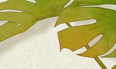 2023正月初四迎财神拜五方方法:如何在吉时接纳财神的福祉?