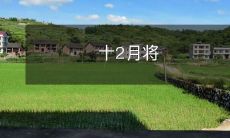 到来,这是备孕者应开始准备备孕的时间,包括健康饮食、锻炼、调整生活习惯等多方面因素,以提高生育成功率