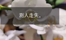 使用技术手段寻找失踪人员的行动称为“人寻技术”:原理、方法及在现代技术环境下的应用