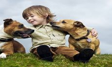 2023年兔男宝宝起名指南:精选富贵大气的起名方案