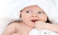 探寻2023年元宵节出生男孩适合取的充满生机活力的独特1乳名