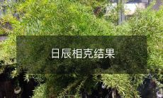 日辰相克的影响及其对人生和命运的可能影响