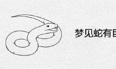 梦见蛇带来巨大财运:探究周公解梦中蛇所代表的含义