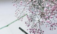 如何化解本命年发烧不退及生病之困:有效解决本命年健康问题的方法和建议