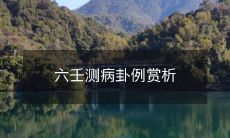 通过六壬测病卦,探讨疾病预防和治疗的实践及应用:六壬测病卦例子资料和案例探析