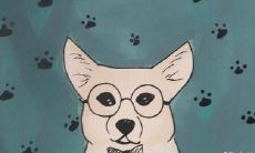 撞到狗是否会带来不祥之兆?从吉凶忌讳的角度分析电动车与狗的碰撞事件