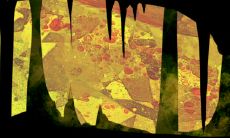 属龙和属虎的八字配对是否合适,需要经过彼此的相互磨合和适应?