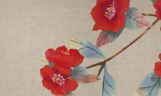 八字配对分析:属蛇男和属虎女的命理匹配情况,或将导致缺乏必要的安全感