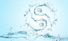 使用天干地支与年月日对照表算出每月的子日和丑日