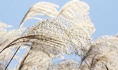 2022本命年感冒不断,如何应对?本命年生病的吐槽与经验分享