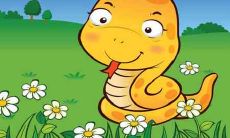 属蛇女性的性格特点以及脾气表现:深入探究