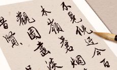 精选大全!善用简练大气的语言,打造出适合于服装企业的名字