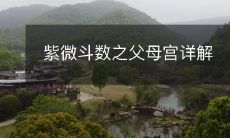 深入探究紫微斗数中的父母宫:解析其内涵与应用方法