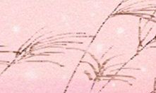 揭露为何丈母娘钟情于天蝎男这个星座?