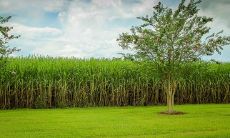 十二星座中口才出众、言辞精准的人士,说话总是如同一把锋利的匕首,能够直接击中核心问题,让人们印象深刻的描述