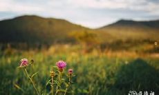 如何应对本命年身体不适?本命年生病了怎样才能有效照顾自己的身体?