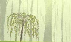 在中国文化中,有哪些鬼节?这些鬼节包括哪些传统节日?